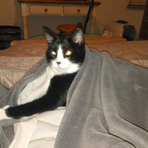 Meet your Posher, Awake